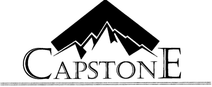 CAPSTONE PROFESSIONAL SERVICES CORPORATION